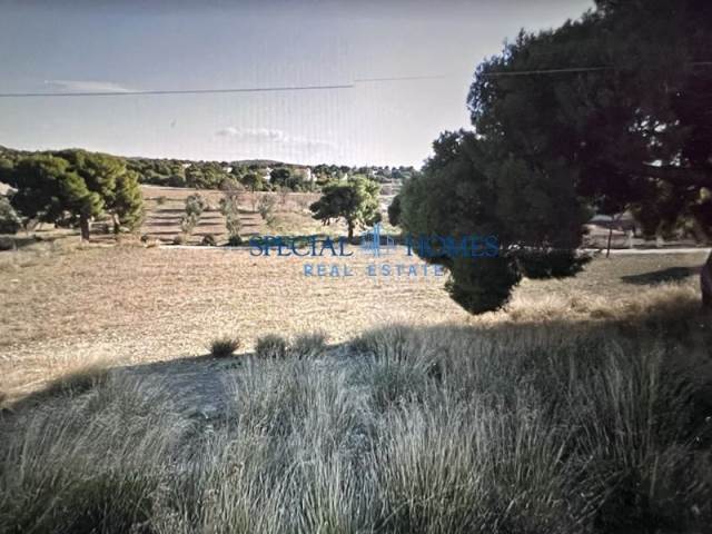 (Προς Πώληση) Αξιοποιήσιμη Γη Αγροτεμάχιο || Ν. Κορινθίας/Λουτράκι-Περαχώρα - 13.325 τ.μ, 450.000€ 