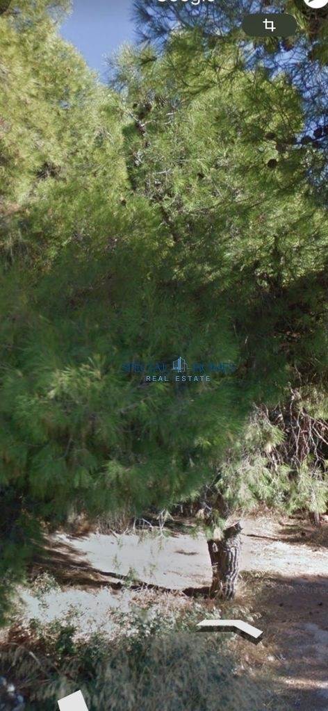 (Προς Πώληση) Αξιοποιήσιμη Γη Οικόπεδο || Ανατολική Αττική/Καλύβια-Λαγονήσι - 250 τ.μ, 90.000€ 