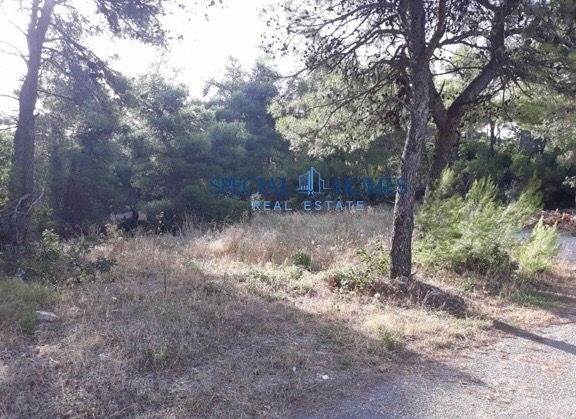 (Προς Πώληση) Αξιοποιήσιμη Γη Οικόπεδο || Ανατολική Αττική/Αφίδνες (Κιούρκα) - 2.000 τ.μ, 100.000€ 