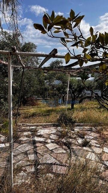 (Προς Πώληση) Αξιοποιήσιμη Γη Αγροτεμάχιο || Ανατολική Αττική/Ωρωπός - 4.147 τ.μ, 200.000€ 