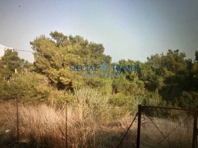 (Προς Πώληση) Αξιοποιήσιμη Γη Οικόπεδο || Ανατολική Αττική/Μαρκόπουλο Μεσογαίας - 945 τ.μ, 450.000€ 