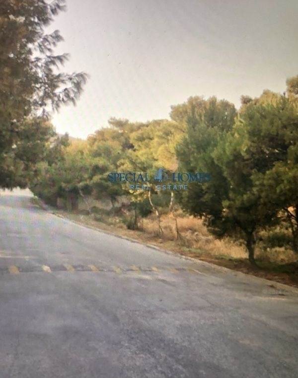 (Προς Πώληση) Αξιοποιήσιμη Γη Οικόπεδο || Αθήνα Βόρεια/Πεντέλη - 1.310 τ.μ, 600.000€ 