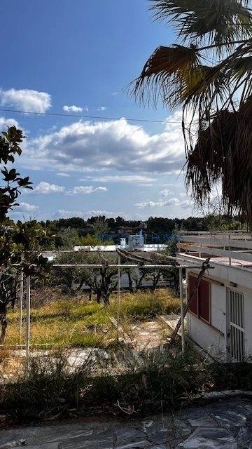 (Προς Πώληση) Αξιοποιήσιμη Γη Αγροτεμάχιο || Ανατολική Αττική/Ωρωπός - 4.147 τ.μ, 150.000€ 