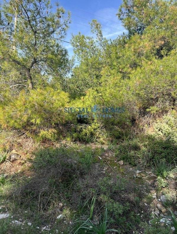 (For Sale) Land Agricultural Land  || Larissa/Larissa - 16.487 Sq.m, 370.000€ 