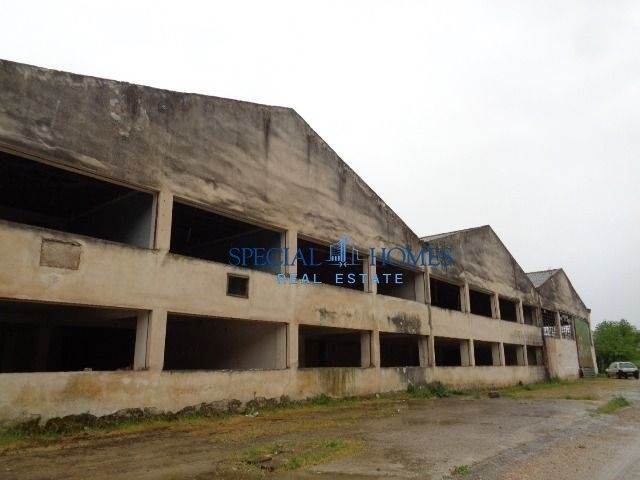 (Προς Πώληση) Επαγγελματικός Χώρος Βιομηχανικός Χώρος || Ν. Βοιωτίας/Θήβα - 24.743 τ.μ, 600.000€ 