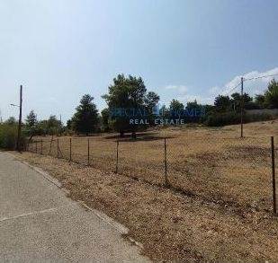 (Προς Πώληση) Αξιοποιήσιμη Γη Οικόπεδο || Αθήνα Βόρεια/Κηφισιά - 7.099 τ.μ, 2.200.000€ 
