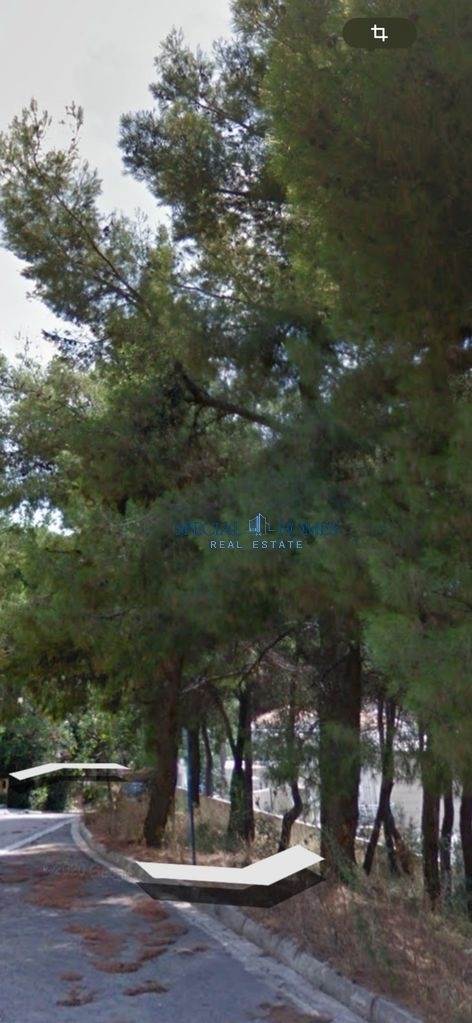 (Προς Πώληση) Αξιοποιήσιμη Γη Οικόπεδο || Ανατολική Αττική/Διόνυσος - 766 τ.μ, 375.000€ 